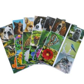 Domino- Lotto- en Associatiespellen Domino- Lotto- en Associatiespellen